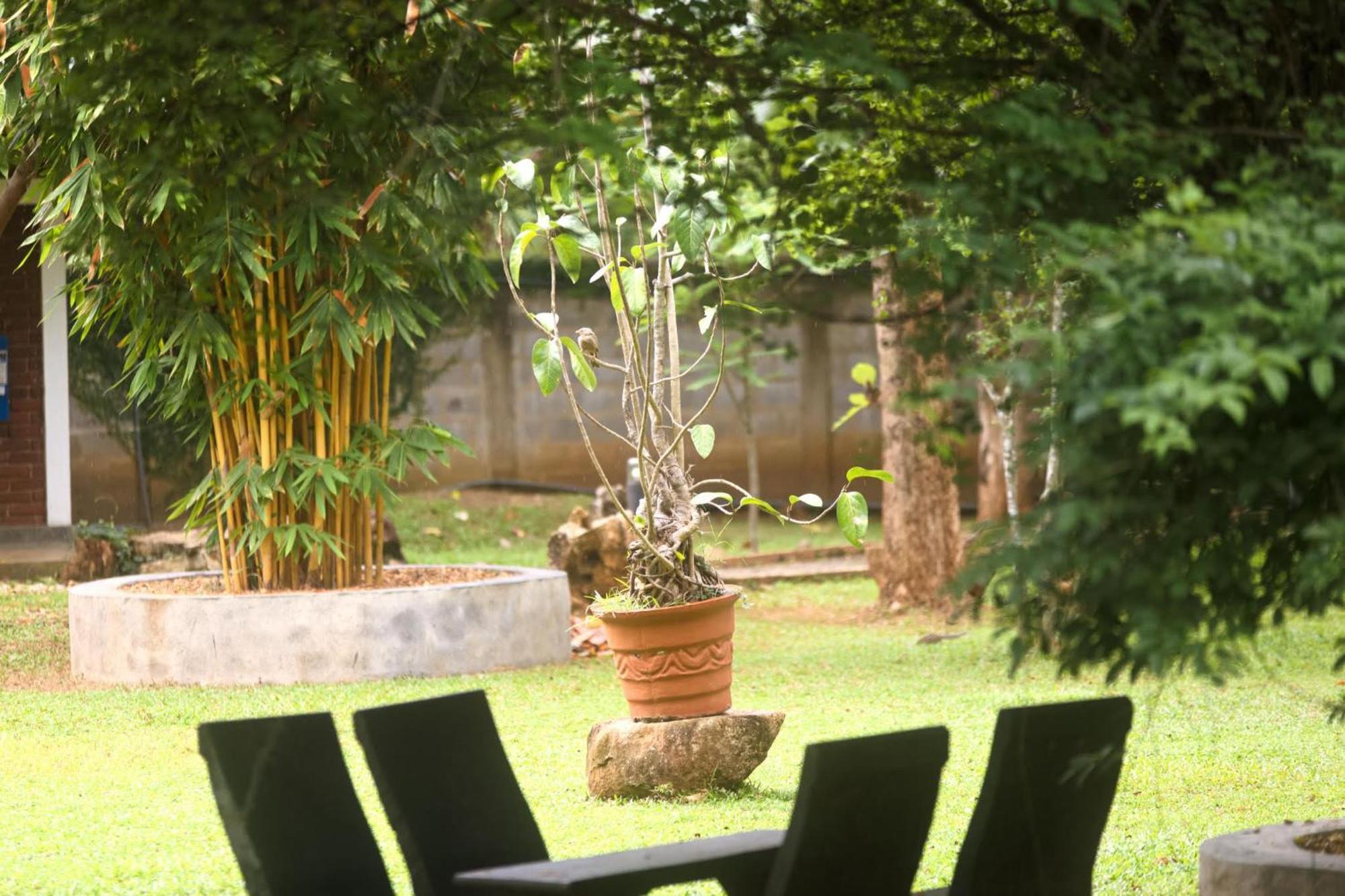 The Mastodon Valley Safari Resort Udawalawe Ngoại thất bức ảnh