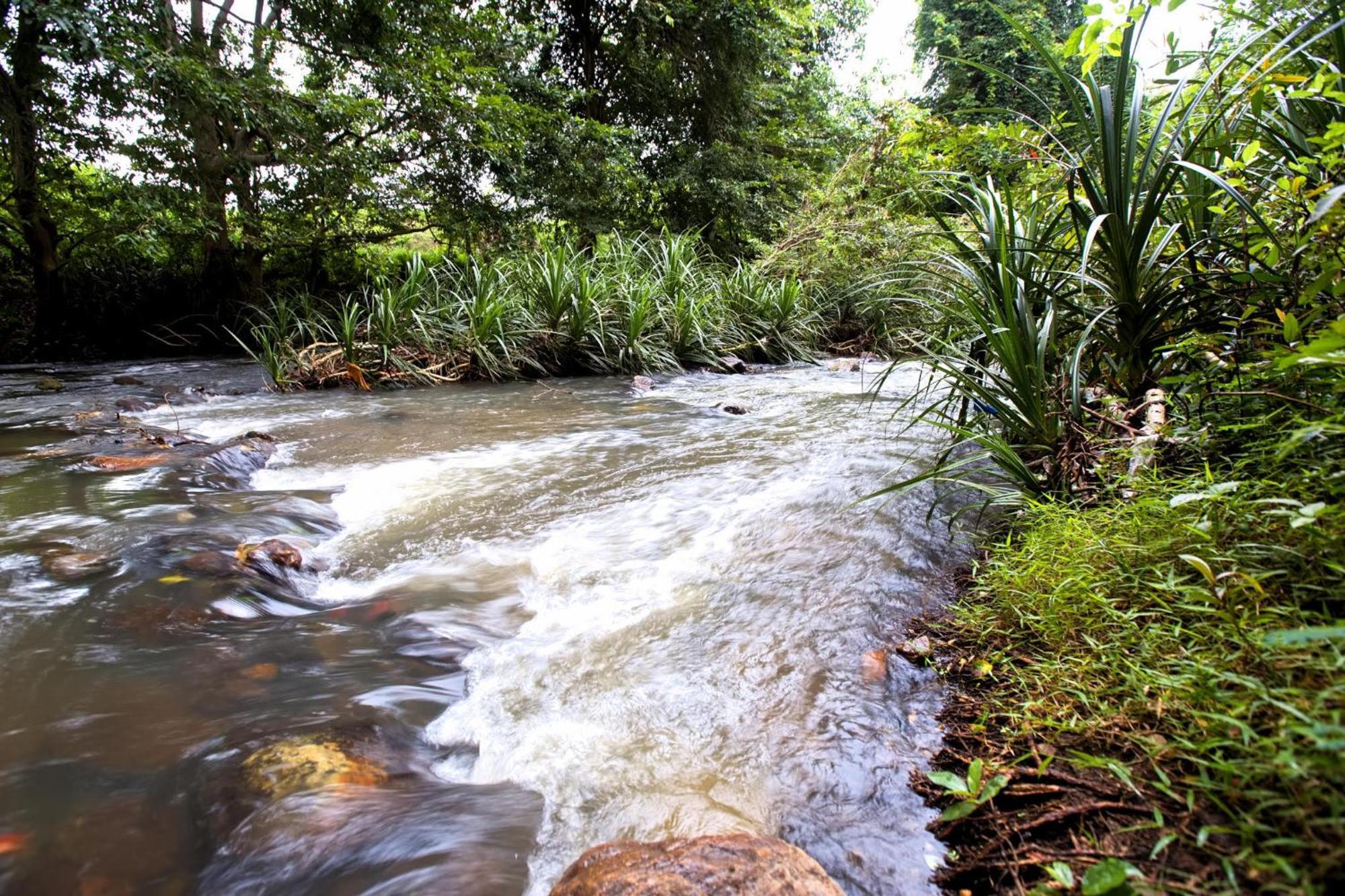 The Mastodon Valley Safari Resort Udawalawe Ngoại thất bức ảnh